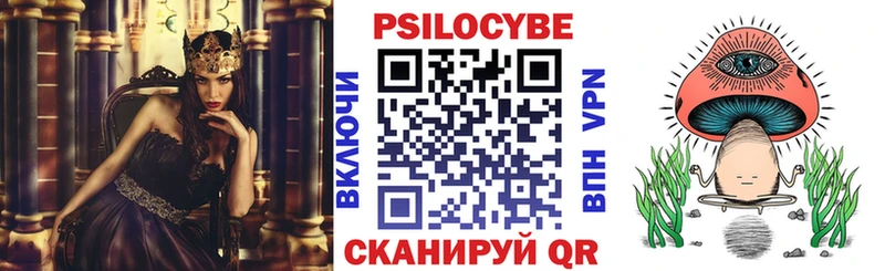 darknet состав  Ишимбай  Галлюциногенные грибы Psilocybe  купить наркотик 